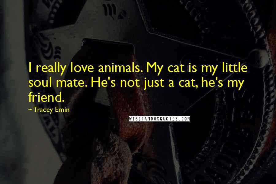 Tracey Emin Quotes: I really love animals. My cat is my little soul mate. He's not just a cat, he's my friend.