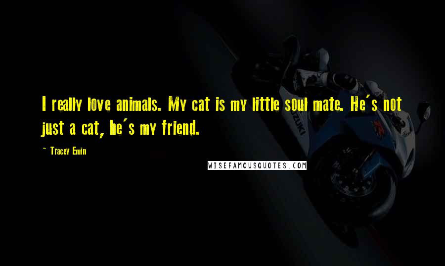 Tracey Emin Quotes: I really love animals. My cat is my little soul mate. He's not just a cat, he's my friend.