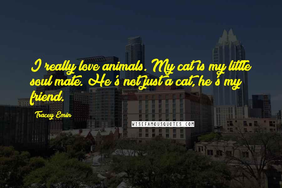 Tracey Emin Quotes: I really love animals. My cat is my little soul mate. He's not just a cat, he's my friend.