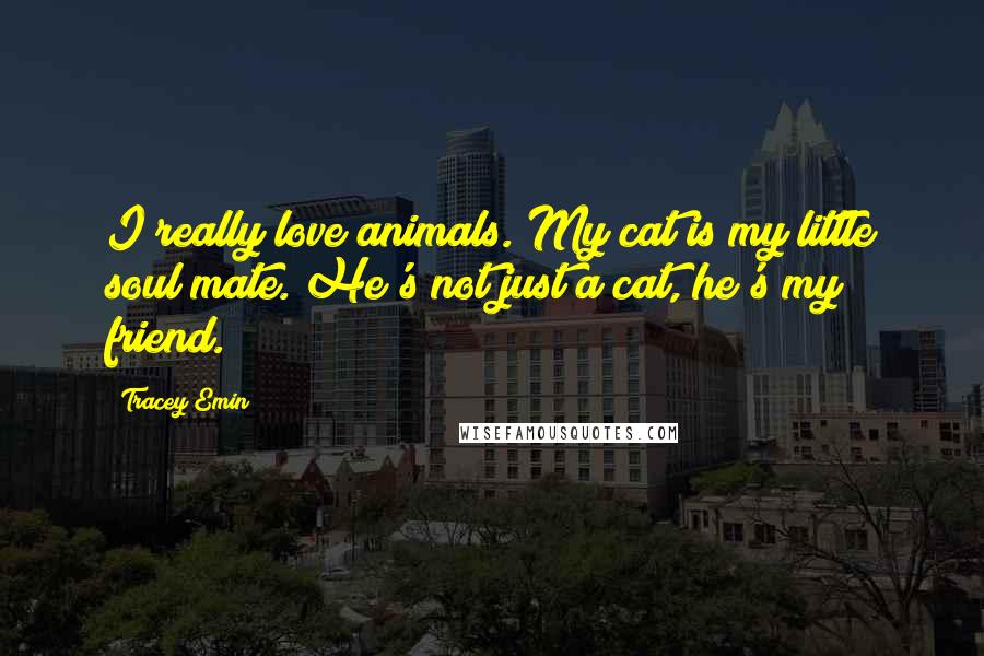 Tracey Emin Quotes: I really love animals. My cat is my little soul mate. He's not just a cat, he's my friend.