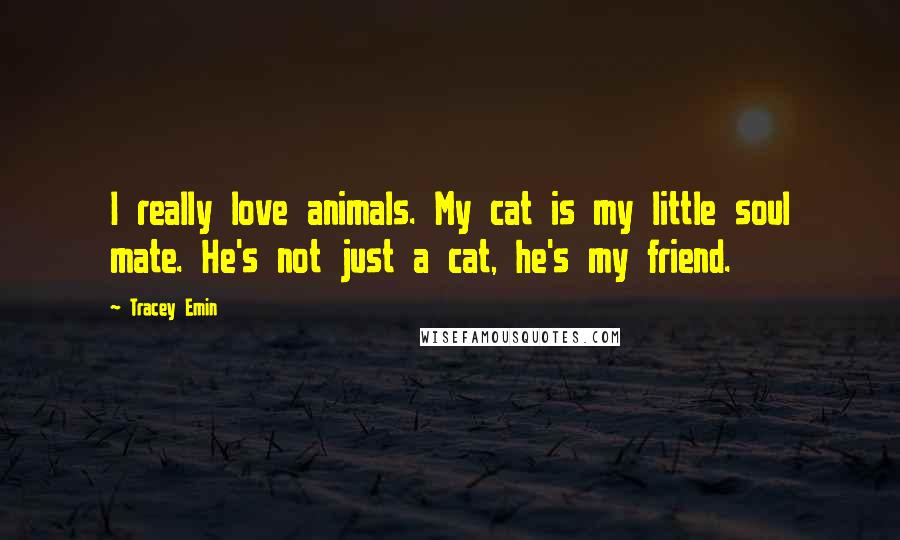 Tracey Emin Quotes: I really love animals. My cat is my little soul mate. He's not just a cat, he's my friend.