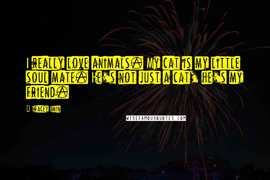 Tracey Emin Quotes: I really love animals. My cat is my little soul mate. He's not just a cat, he's my friend.