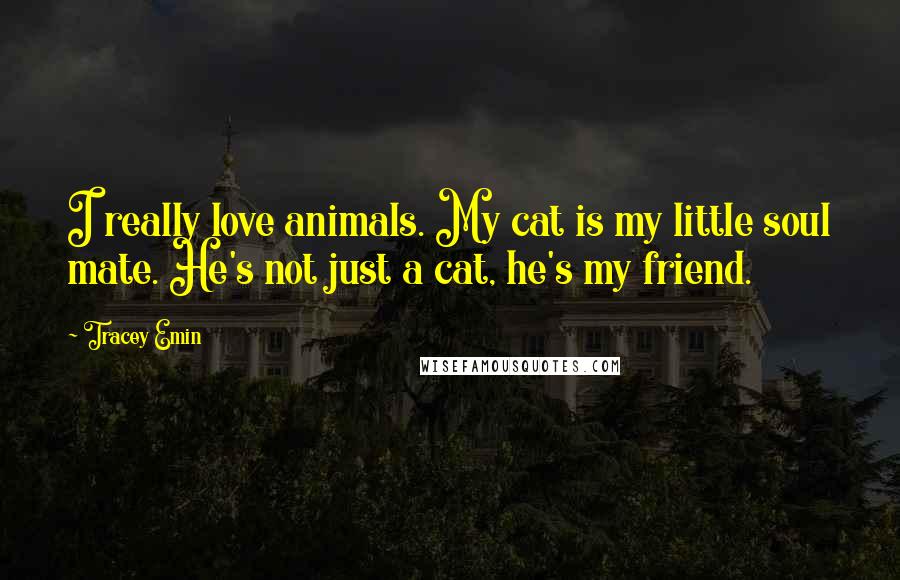 Tracey Emin Quotes: I really love animals. My cat is my little soul mate. He's not just a cat, he's my friend.