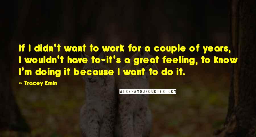 Tracey Emin Quotes: If I didn't want to work for a couple of years, I wouldn't have to-it's a great feeling, to know I'm doing it because I want to do it.