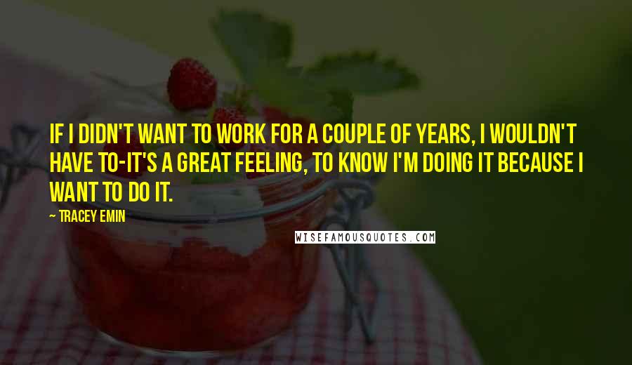 Tracey Emin Quotes: If I didn't want to work for a couple of years, I wouldn't have to-it's a great feeling, to know I'm doing it because I want to do it.