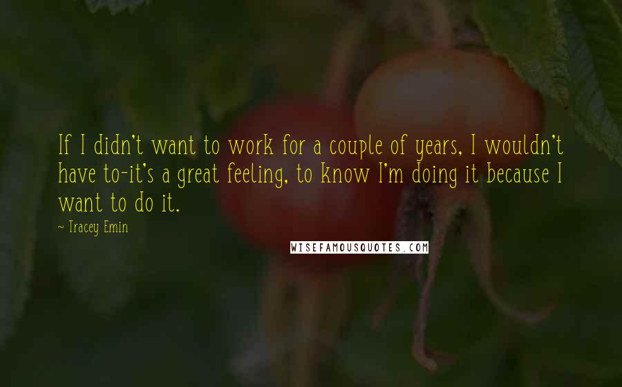 Tracey Emin Quotes: If I didn't want to work for a couple of years, I wouldn't have to-it's a great feeling, to know I'm doing it because I want to do it.