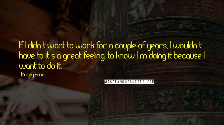 Tracey Emin Quotes: If I didn't want to work for a couple of years, I wouldn't have to-it's a great feeling, to know I'm doing it because I want to do it.