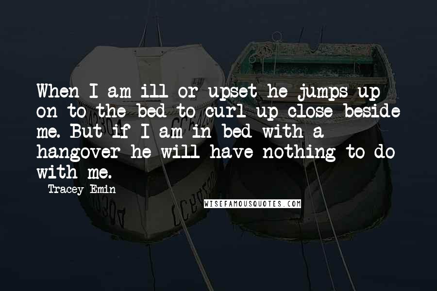Tracey Emin Quotes: When I am ill or upset he jumps up on to the bed to curl up close beside me. But if I am in bed with a hangover he will have nothing to do with me.