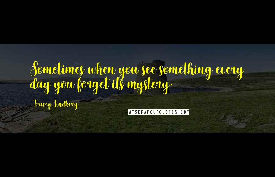 Tracey Lindberg Quotes: Sometimes when you see something every day you forget its mystery.