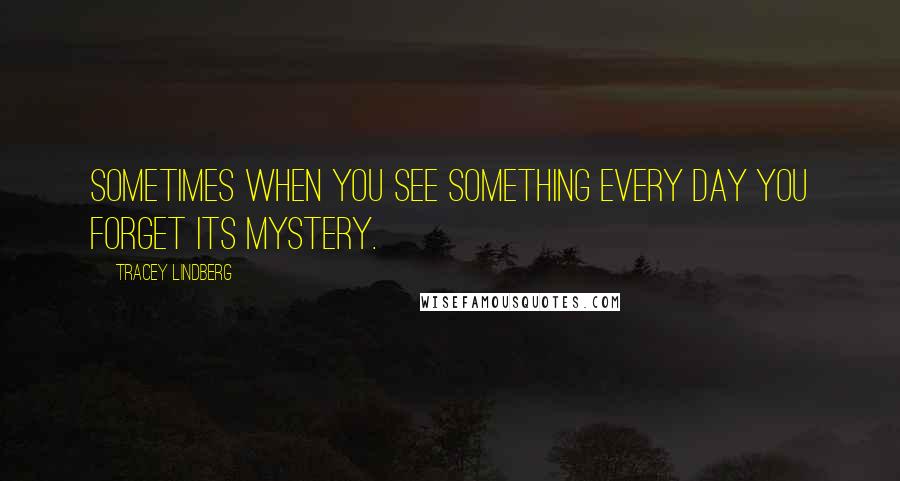 Tracey Lindberg Quotes: Sometimes when you see something every day you forget its mystery.