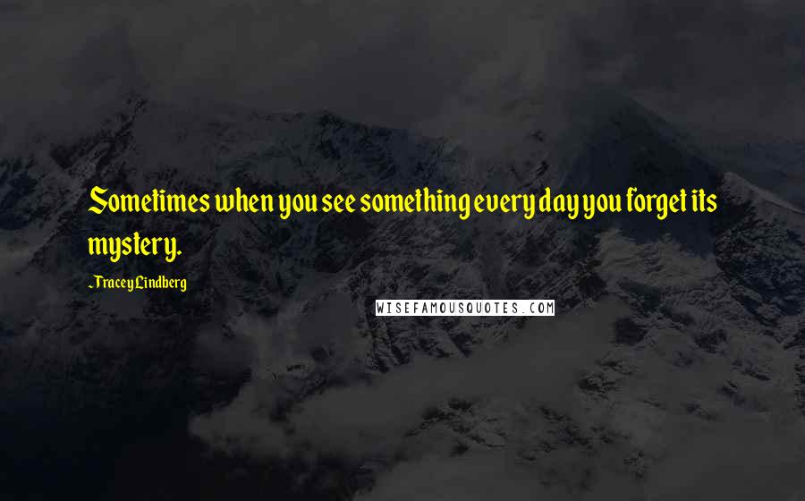 Tracey Lindberg Quotes: Sometimes when you see something every day you forget its mystery.