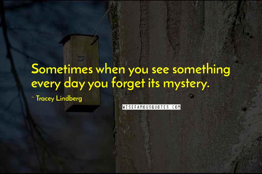 Tracey Lindberg Quotes: Sometimes when you see something every day you forget its mystery.