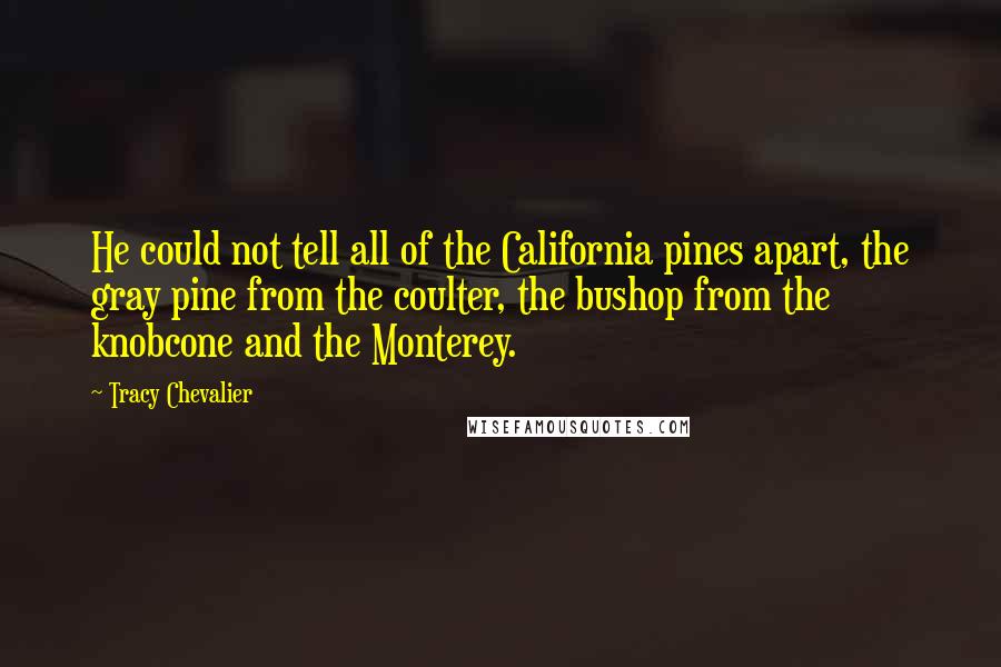 Tracy Chevalier Quotes: He could not tell all of the California pines apart, the gray pine from the coulter, the bushop from the knobcone and the Monterey.