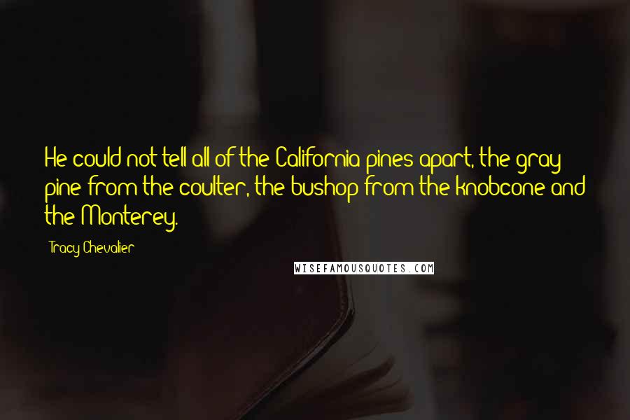 Tracy Chevalier Quotes: He could not tell all of the California pines apart, the gray pine from the coulter, the bushop from the knobcone and the Monterey.