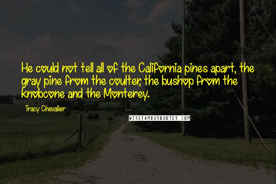 Tracy Chevalier Quotes: He could not tell all of the California pines apart, the gray pine from the coulter, the bushop from the knobcone and the Monterey.