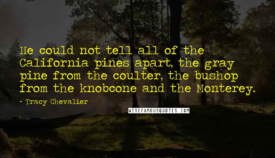Tracy Chevalier Quotes: He could not tell all of the California pines apart, the gray pine from the coulter, the bushop from the knobcone and the Monterey.
