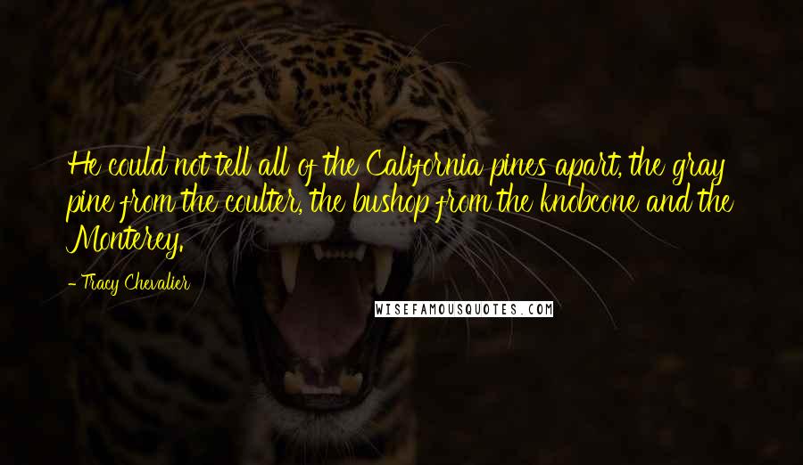 Tracy Chevalier Quotes: He could not tell all of the California pines apart, the gray pine from the coulter, the bushop from the knobcone and the Monterey.