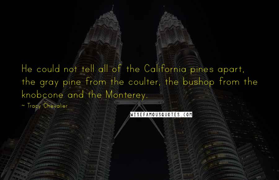 Tracy Chevalier Quotes: He could not tell all of the California pines apart, the gray pine from the coulter, the bushop from the knobcone and the Monterey.