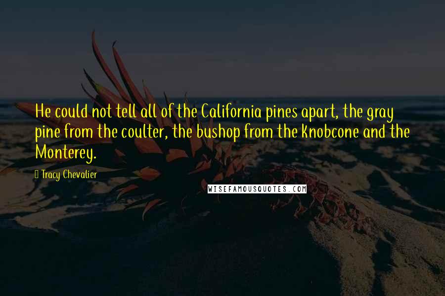 Tracy Chevalier Quotes: He could not tell all of the California pines apart, the gray pine from the coulter, the bushop from the knobcone and the Monterey.