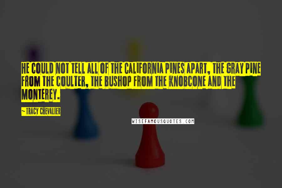 Tracy Chevalier Quotes: He could not tell all of the California pines apart, the gray pine from the coulter, the bushop from the knobcone and the Monterey.