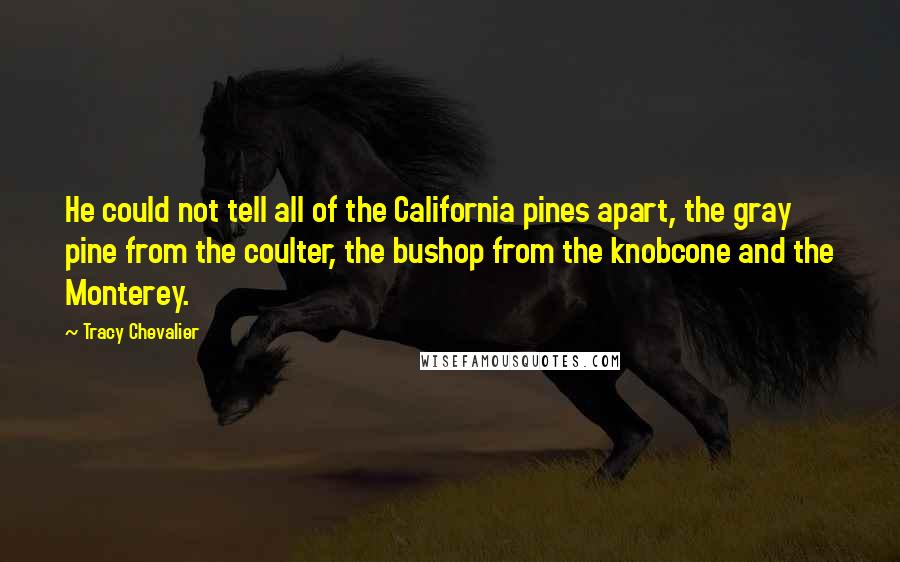 Tracy Chevalier Quotes: He could not tell all of the California pines apart, the gray pine from the coulter, the bushop from the knobcone and the Monterey.