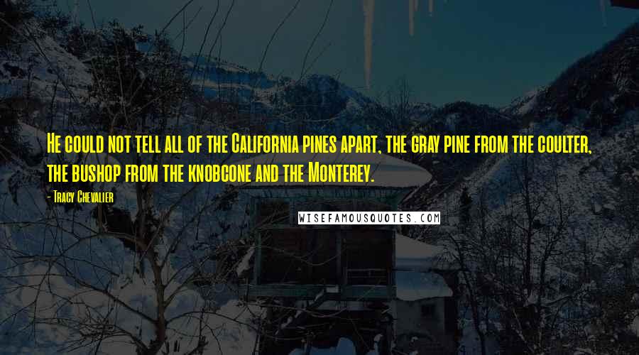 Tracy Chevalier Quotes: He could not tell all of the California pines apart, the gray pine from the coulter, the bushop from the knobcone and the Monterey.