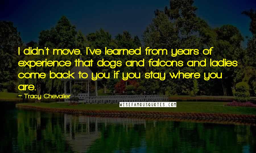 Tracy Chevalier Quotes: I didn't move. I've learned from years of experience that dogs and falcons and ladies come back to you if you stay where you are.