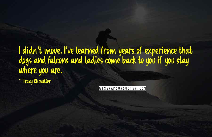 Tracy Chevalier Quotes: I didn't move. I've learned from years of experience that dogs and falcons and ladies come back to you if you stay where you are.