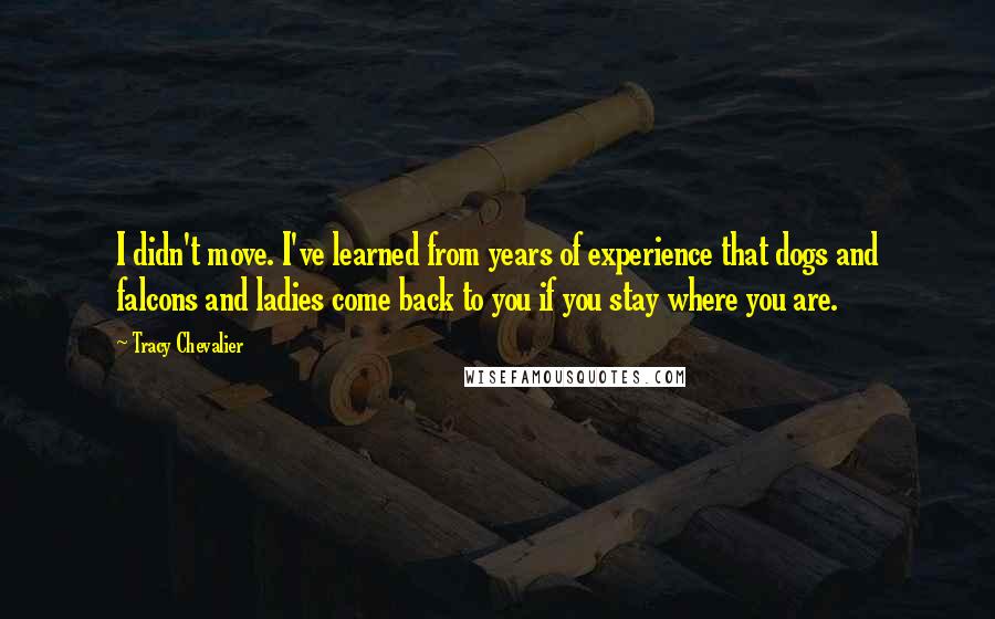 Tracy Chevalier Quotes: I didn't move. I've learned from years of experience that dogs and falcons and ladies come back to you if you stay where you are.