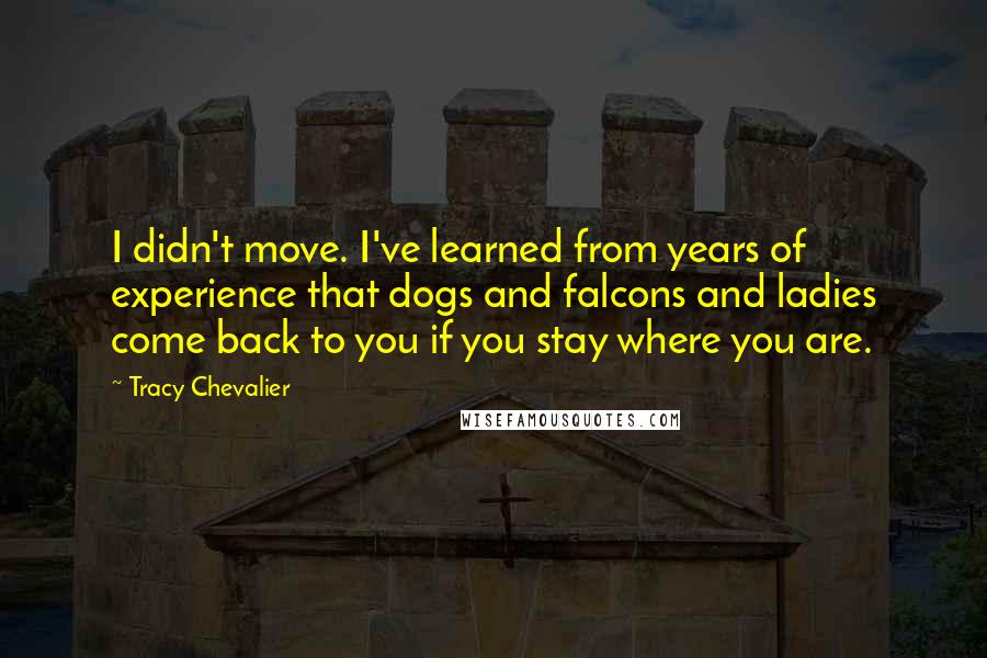 Tracy Chevalier Quotes: I didn't move. I've learned from years of experience that dogs and falcons and ladies come back to you if you stay where you are.