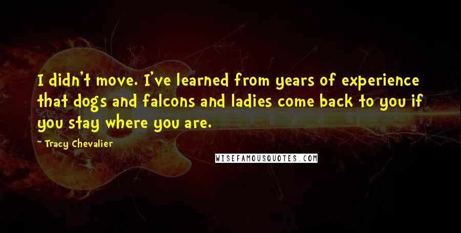 Tracy Chevalier Quotes: I didn't move. I've learned from years of experience that dogs and falcons and ladies come back to you if you stay where you are.