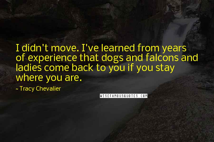 Tracy Chevalier Quotes: I didn't move. I've learned from years of experience that dogs and falcons and ladies come back to you if you stay where you are.