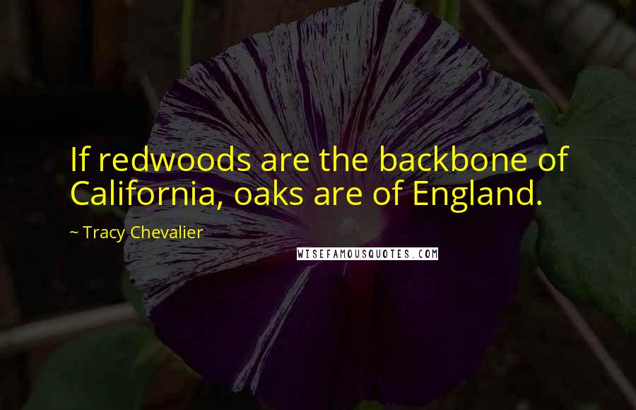 Tracy Chevalier Quotes: If redwoods are the backbone of California, oaks are of England.