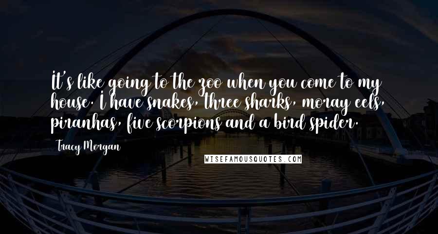 Tracy Morgan Quotes: It's like going to the zoo when you come to my house. I have snakes, three sharks, moray eels, piranhas, five scorpions and a bird spider.