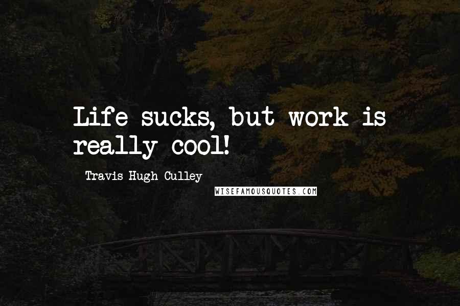 Travis Hugh Culley Quotes: Life sucks, but work is really cool!