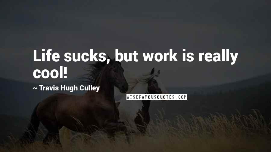 Travis Hugh Culley Quotes: Life sucks, but work is really cool!