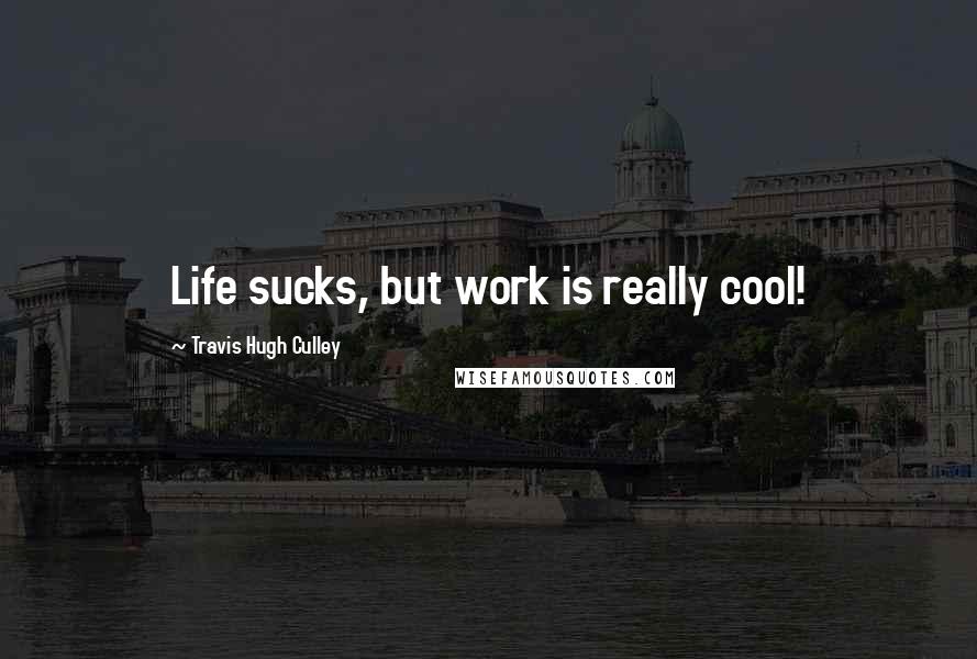 Travis Hugh Culley Quotes: Life sucks, but work is really cool!