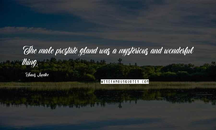 Travis Luedke Quotes: The male prostate gland was a mysterious and wonderful thing.