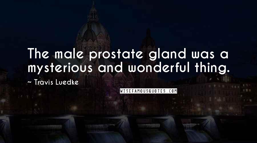 Travis Luedke Quotes: The male prostate gland was a mysterious and wonderful thing.