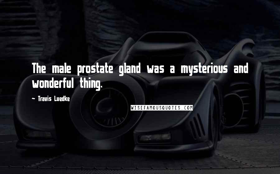 Travis Luedke Quotes: The male prostate gland was a mysterious and wonderful thing.