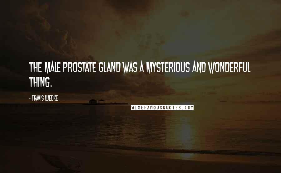 Travis Luedke Quotes: The male prostate gland was a mysterious and wonderful thing.