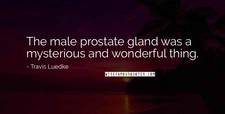 Travis Luedke Quotes: The male prostate gland was a mysterious and wonderful thing.