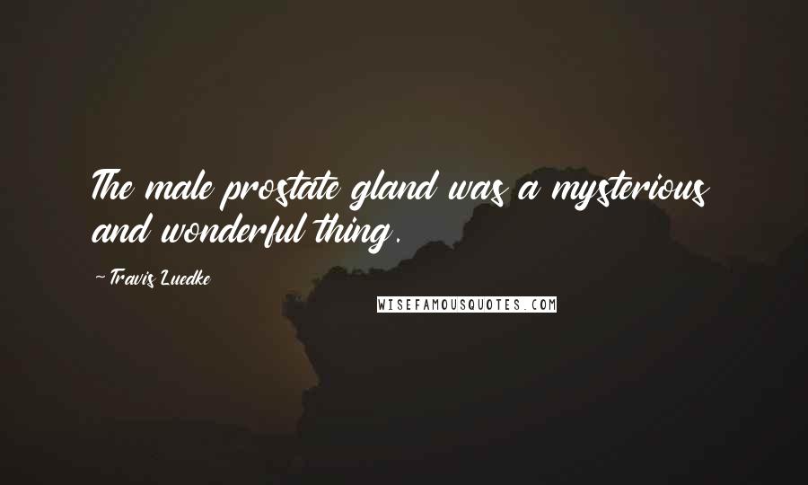 Travis Luedke Quotes: The male prostate gland was a mysterious and wonderful thing.