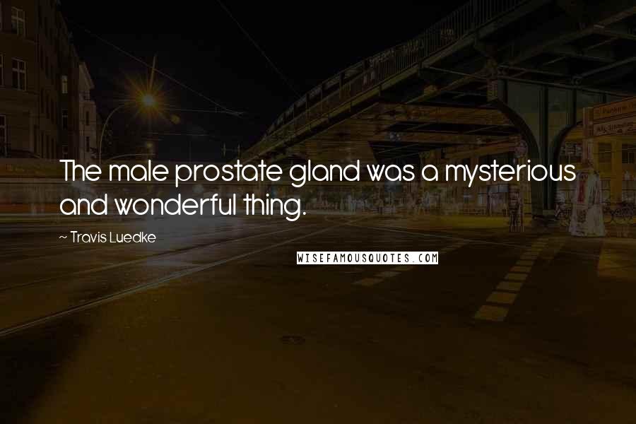 Travis Luedke Quotes: The male prostate gland was a mysterious and wonderful thing.