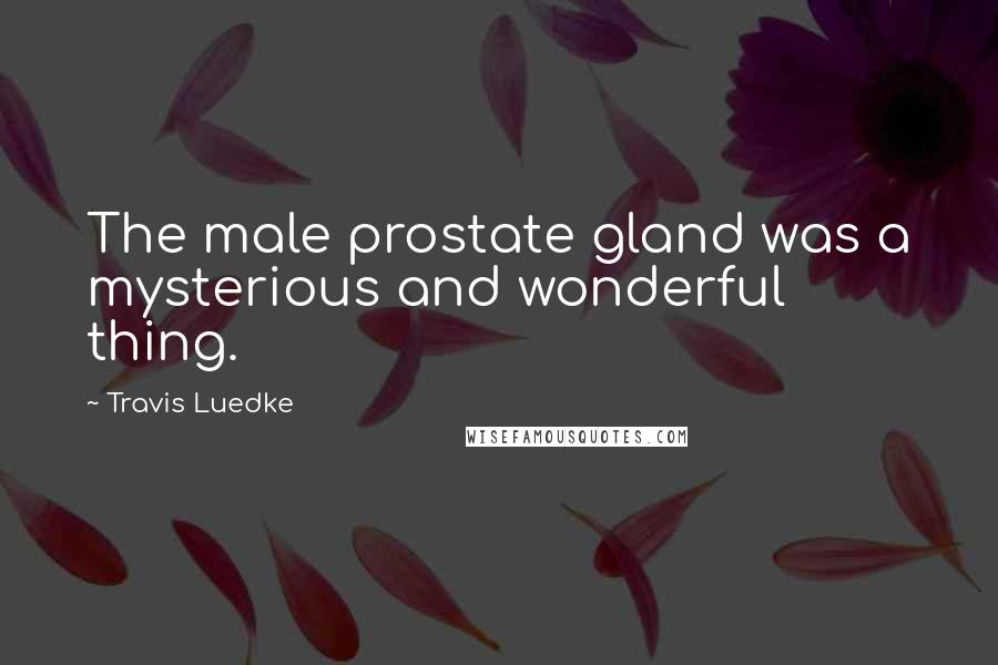 Travis Luedke Quotes: The male prostate gland was a mysterious and wonderful thing.