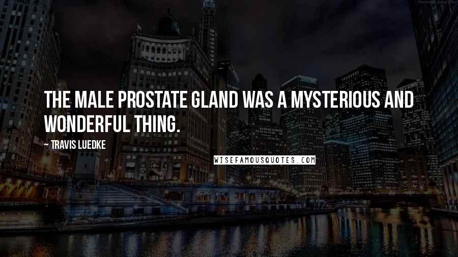 Travis Luedke Quotes: The male prostate gland was a mysterious and wonderful thing.