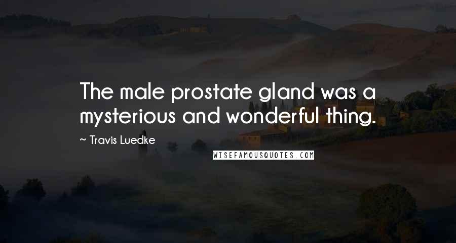 Travis Luedke Quotes: The male prostate gland was a mysterious and wonderful thing.