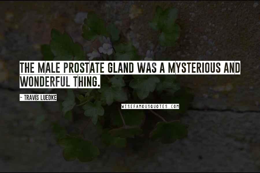 Travis Luedke Quotes: The male prostate gland was a mysterious and wonderful thing.