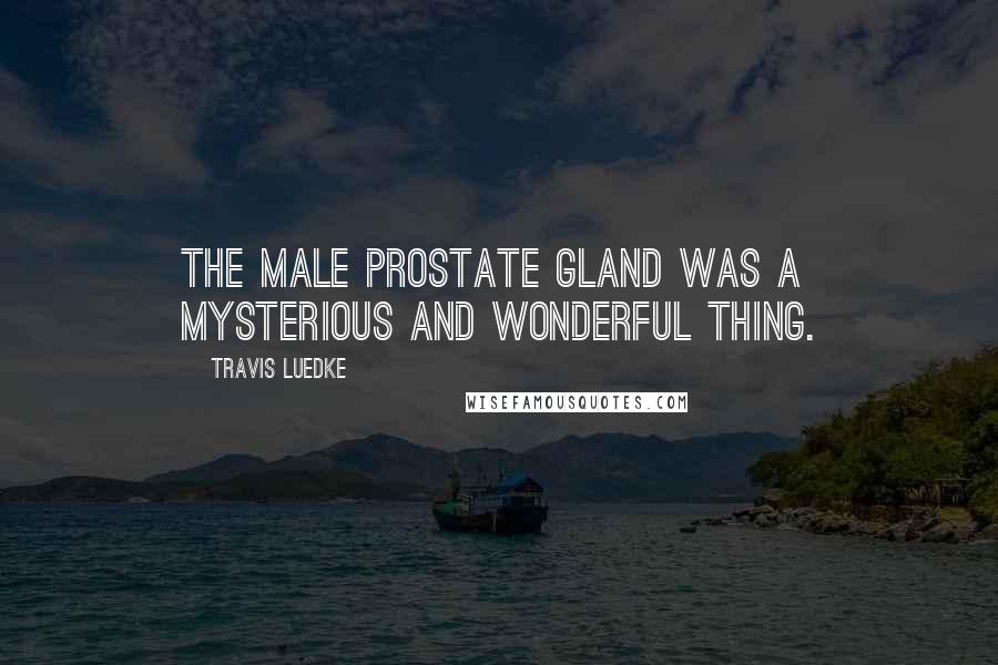 Travis Luedke Quotes: The male prostate gland was a mysterious and wonderful thing.