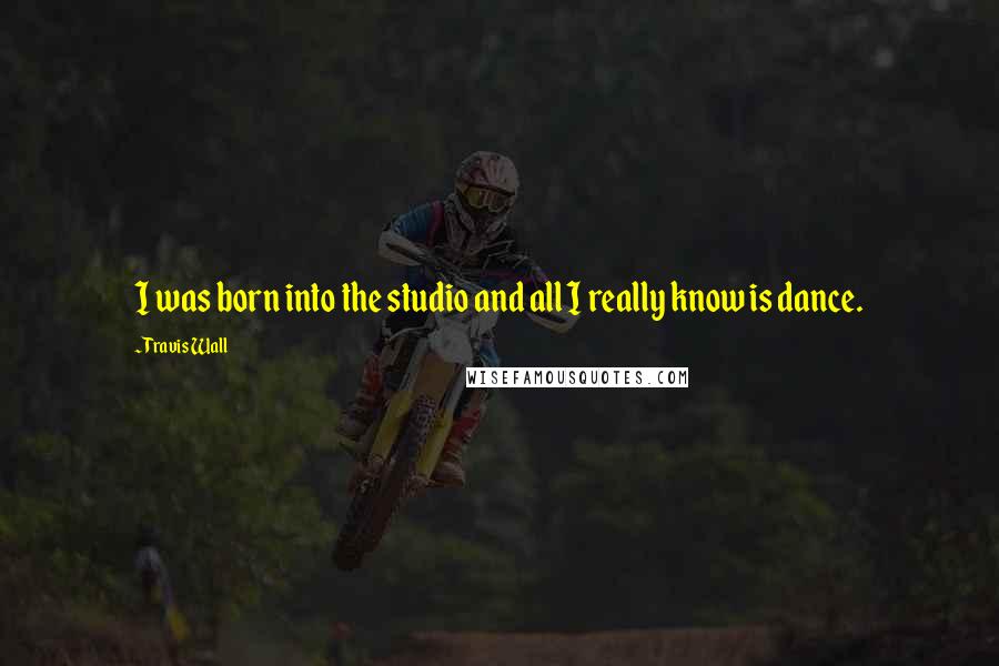 Travis Wall Quotes: I was born into the studio and all I really know is dance.